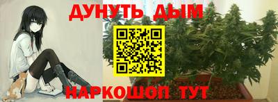 таблы Кингисепп