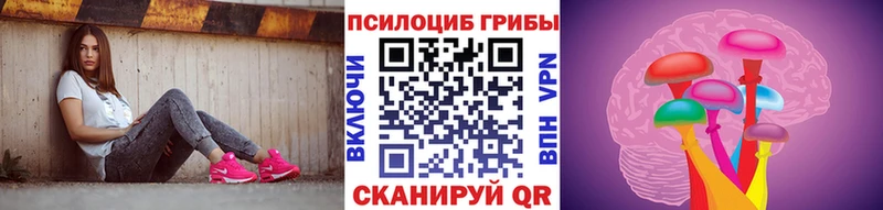 Псилоцибиновые грибы Cubensis  KRAKEN рабочий сайт  Крымск 