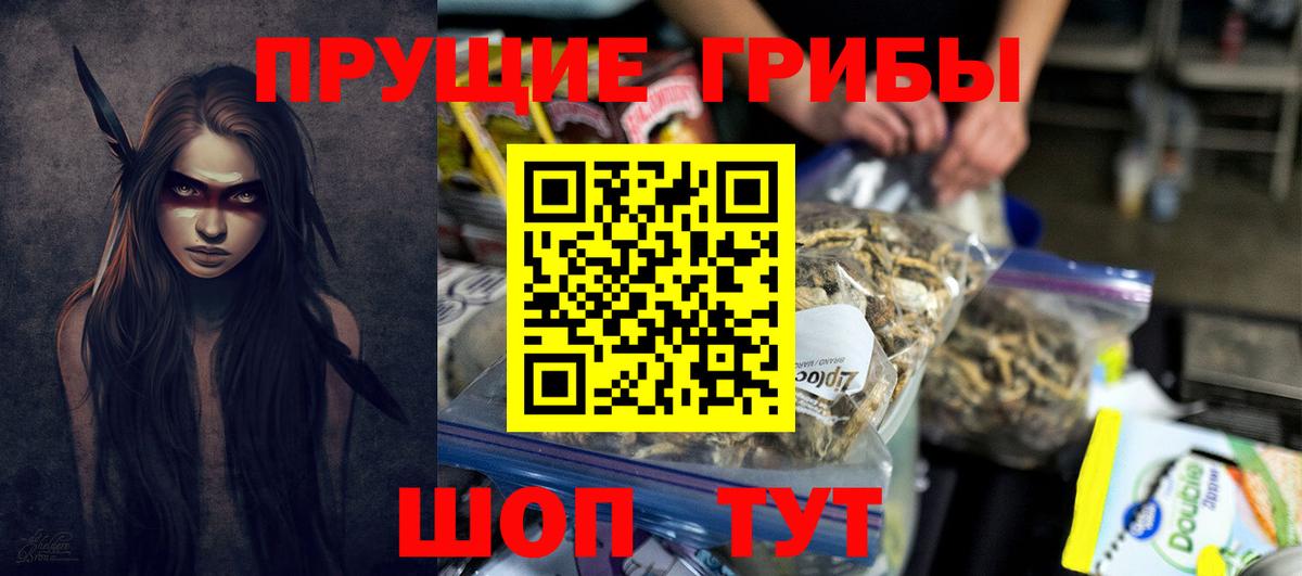 Крымск  Псилоцибиновые грибы MAGIC MUSHROOMS  Вход с VPN 