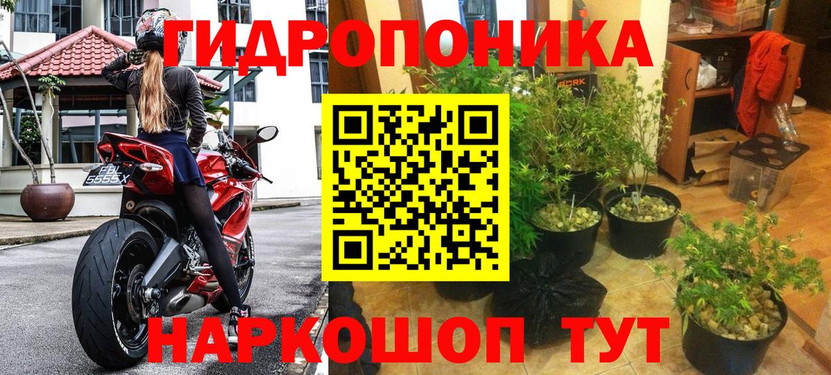 Бошки марихуана сатива  Бошки марихуана индика  Марихуана MAZAR  Вход с VPN  Крымск 